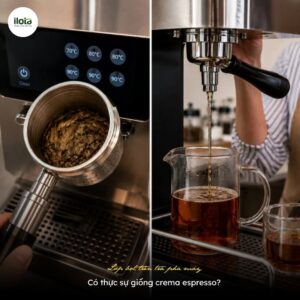 lop-bot-tren-tra-pha-may-co-giong-crema-espresso