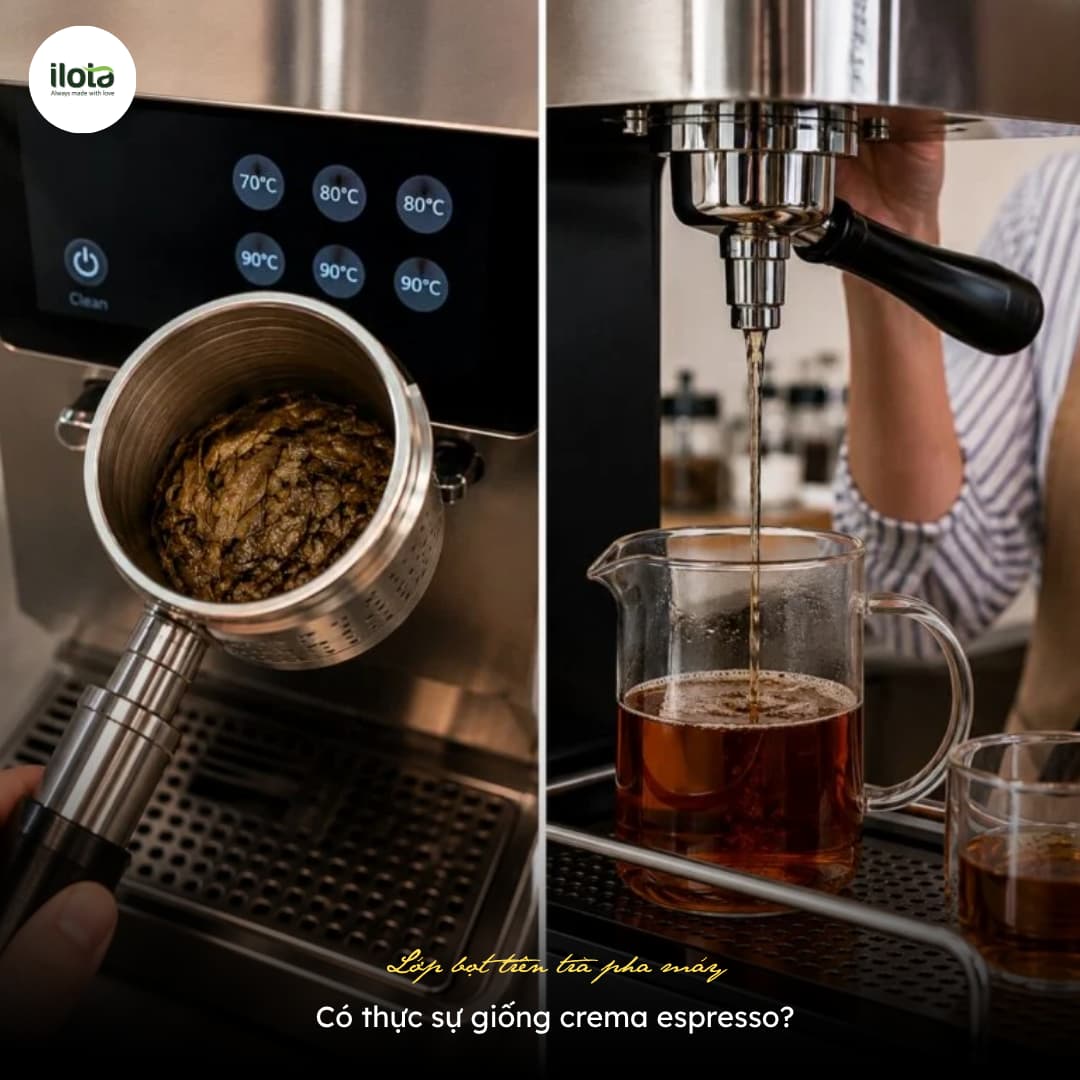 lop-bot-tren-tra-pha-may-co-giong-crema-espresso