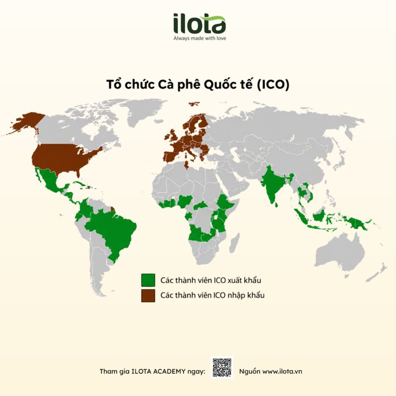 du-lieu-thi-truong-ca-phe-toan-cau-ico-ra-mat-coffee