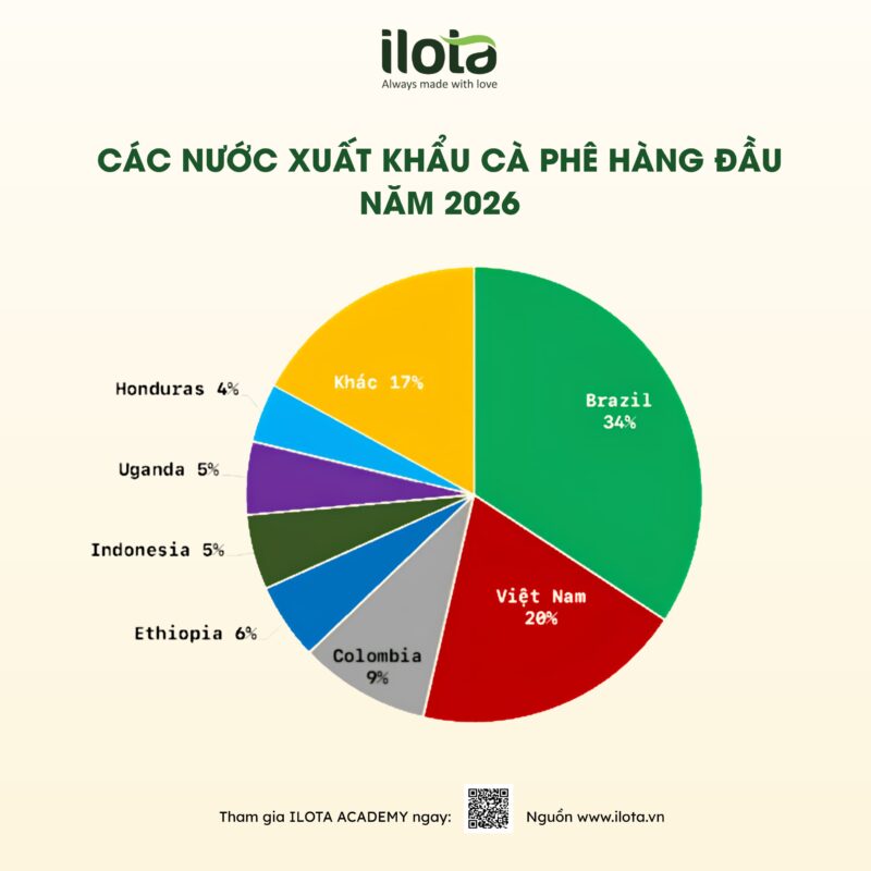 du-lieu-thi-truong-ca-phe-toan-cau-ico-ra-mat-coffee