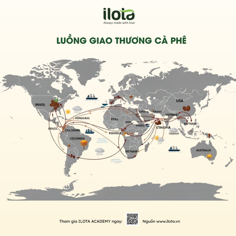 du-lieu-thi-truong-ca-phe-toan-cau-ico-ra-mat-coffee
