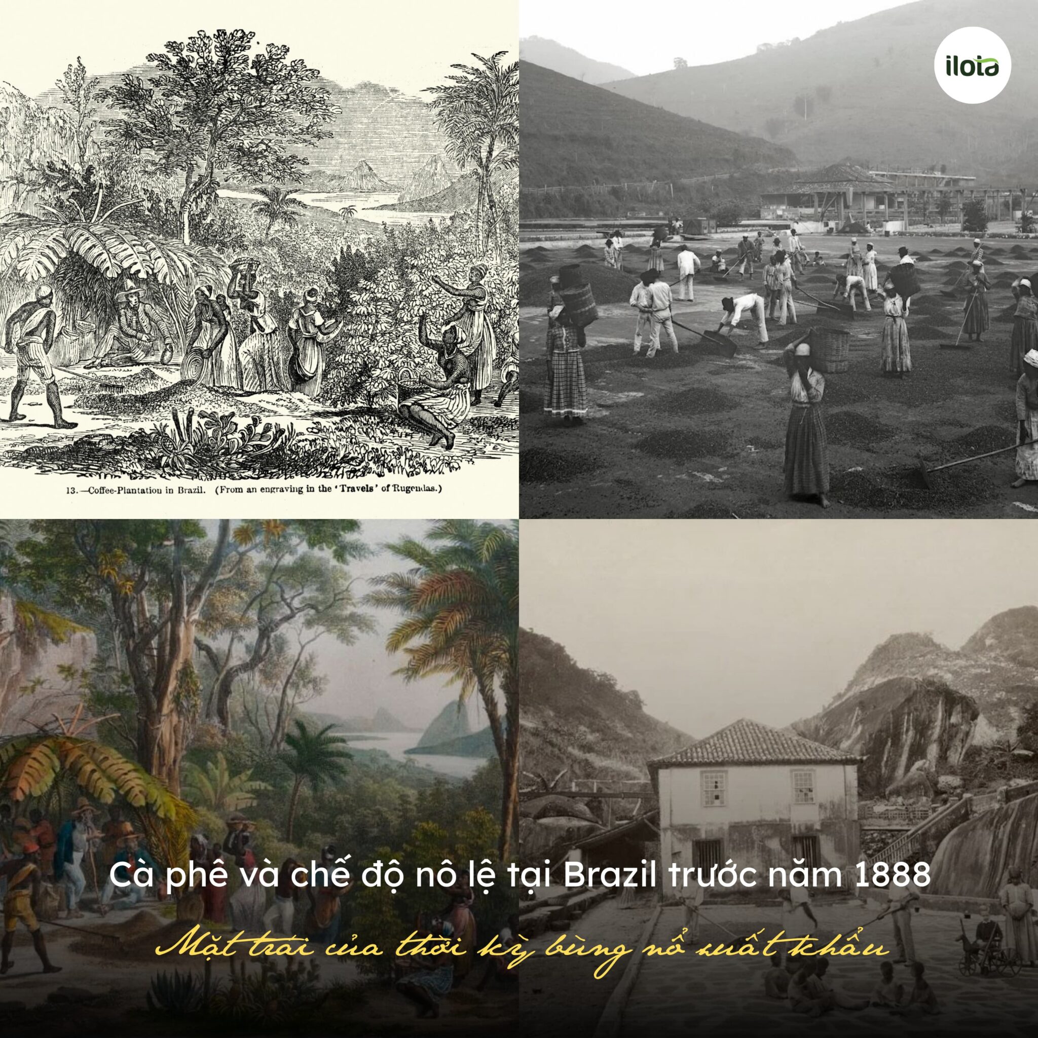 ca-phe-va-che-do-no-le-tai-brazil-truoc-nam-1888