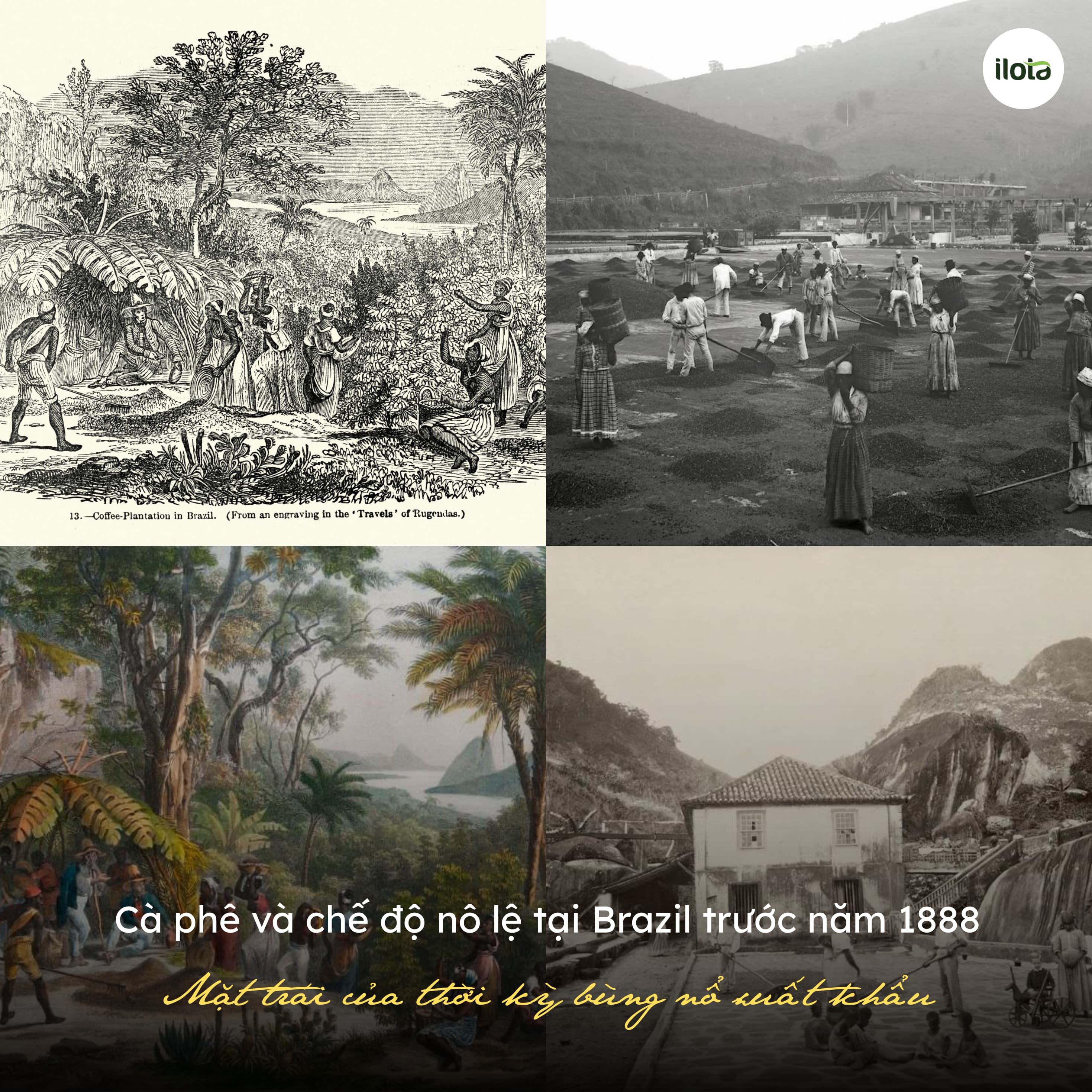 ca-phe-va-che-do-no-le-tai-brazil-truoc-nam-1888
