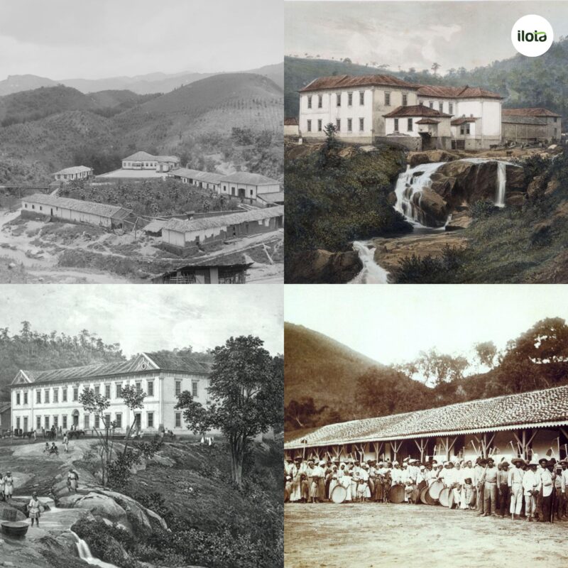 ca-phe-va-che-do-no-le-tai-brazil-truoc-nam-1888