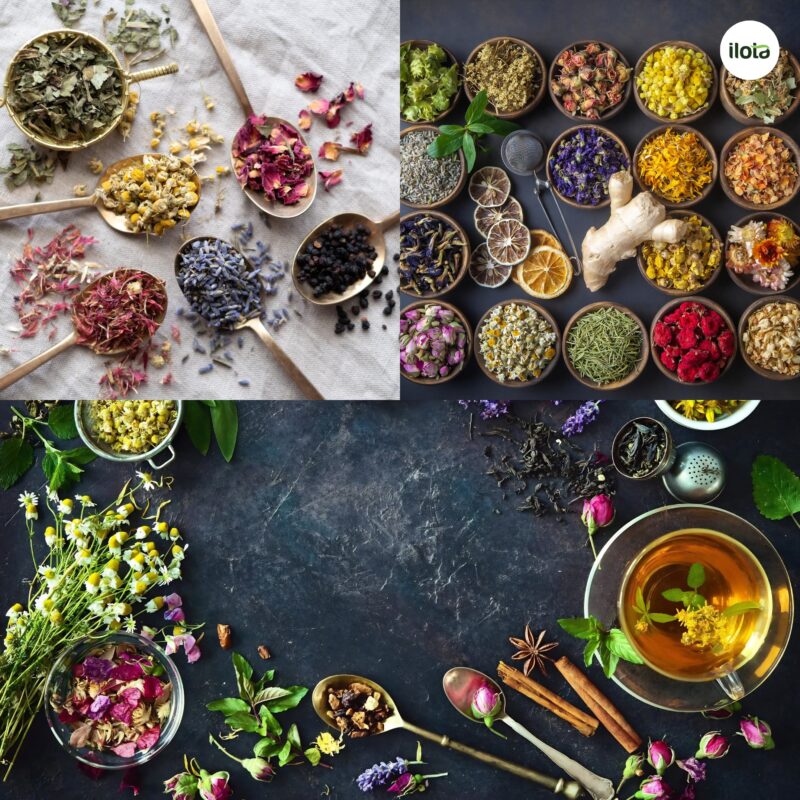 thao-moc-va-huong-hoa-trong-pha-che-tra