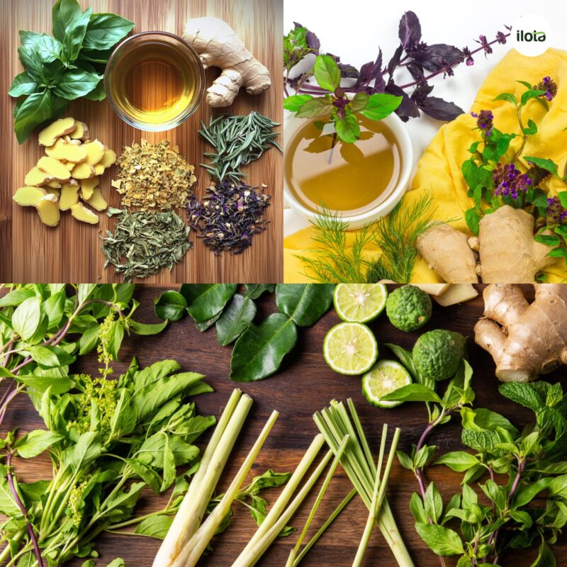 thao-moc-va-huong-hoa-trong-pha-che-tra