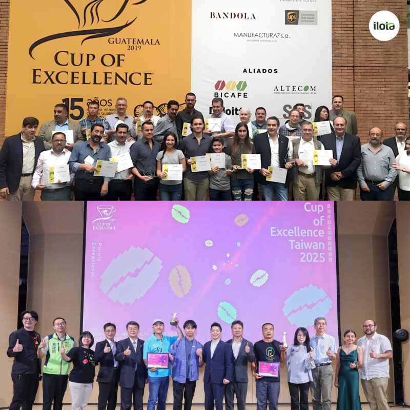 to-chuc-cup-of-excellence-coe-kham-pha-lich-su