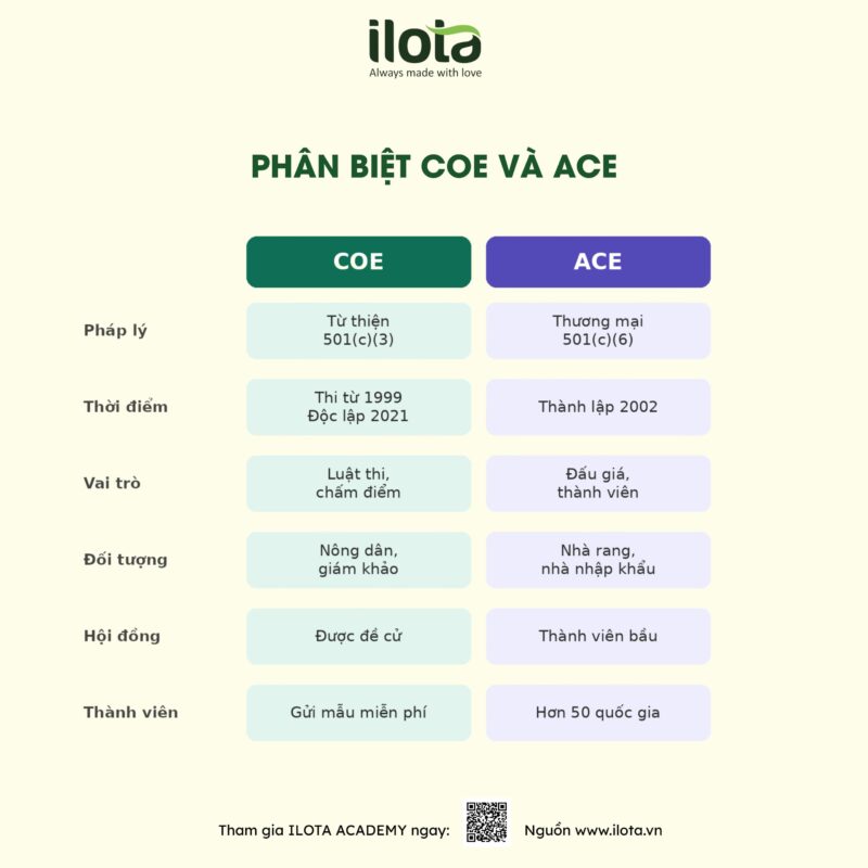 to-chuc-cup-of-excellence-coe-kham-pha-lich-su