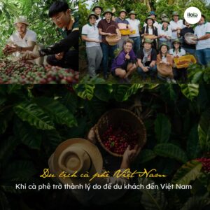 du-lich-ca-phe-viet-nam/