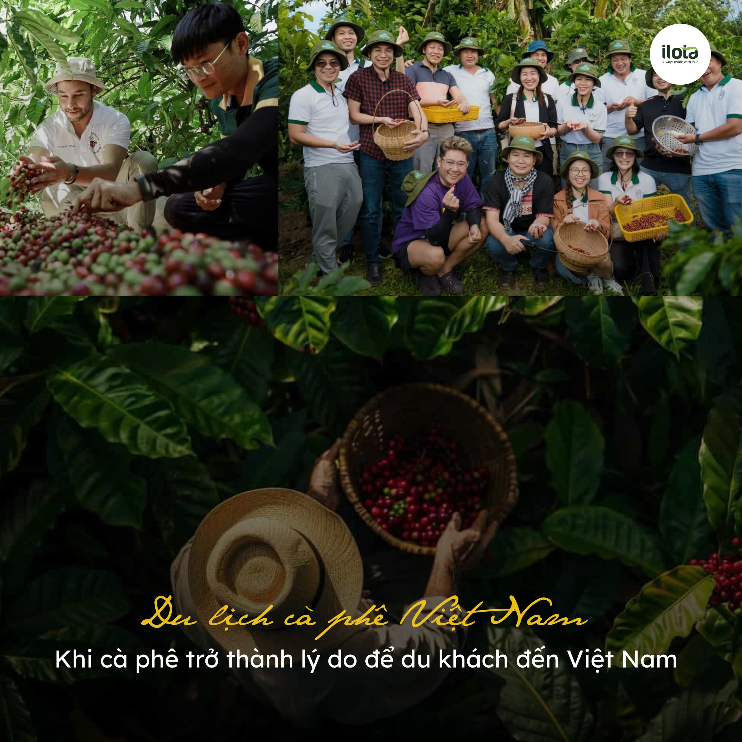 du-lich-ca-phe-viet-nam/