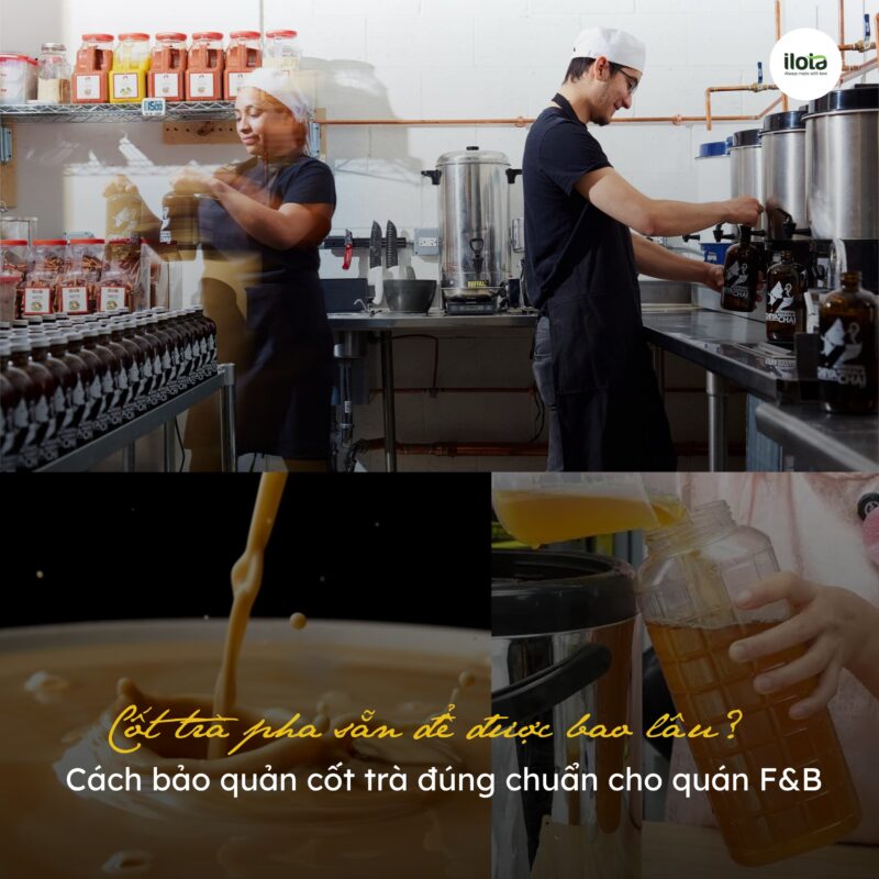 cot-tra-pha-san-de-duoc-bao-lau