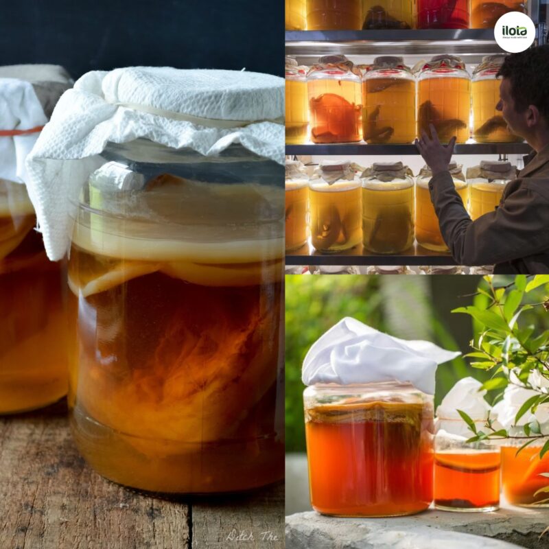 cach-lam-cascara-kombucha/