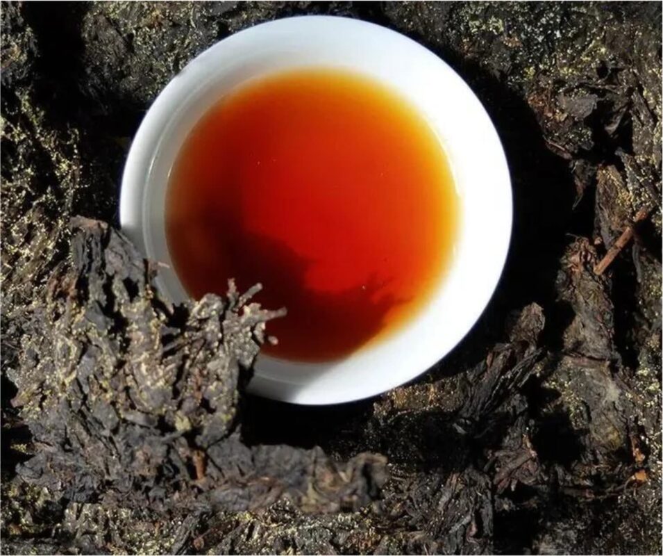 tra-phuc-chuyen-la-gi-giai-ma/
