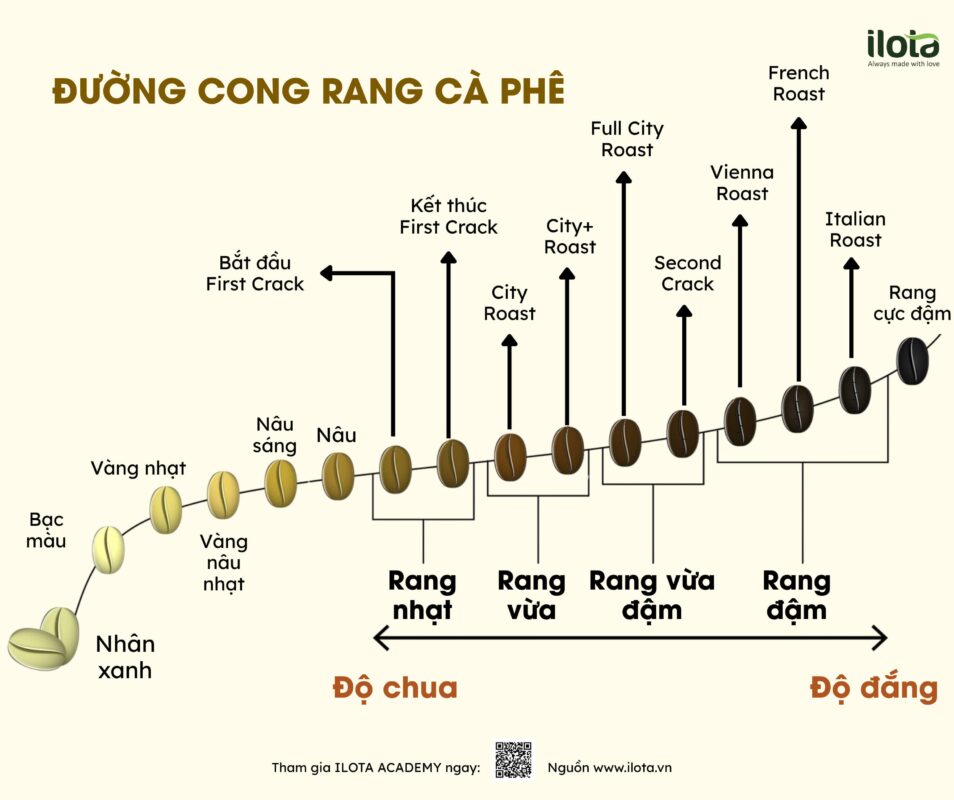 ca-phe-rang-cui-va-rang-khi-nong/