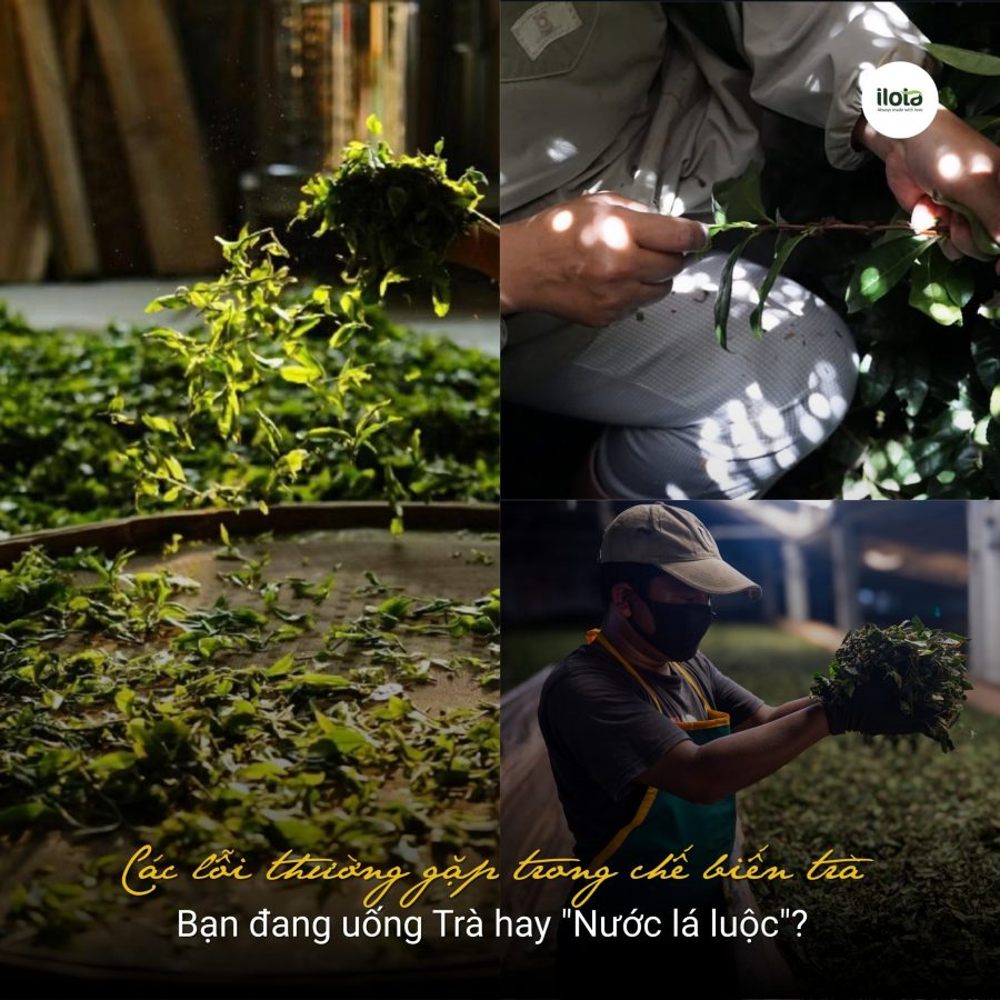 cac-loi-thuong-gap-trong-che-bien-tra