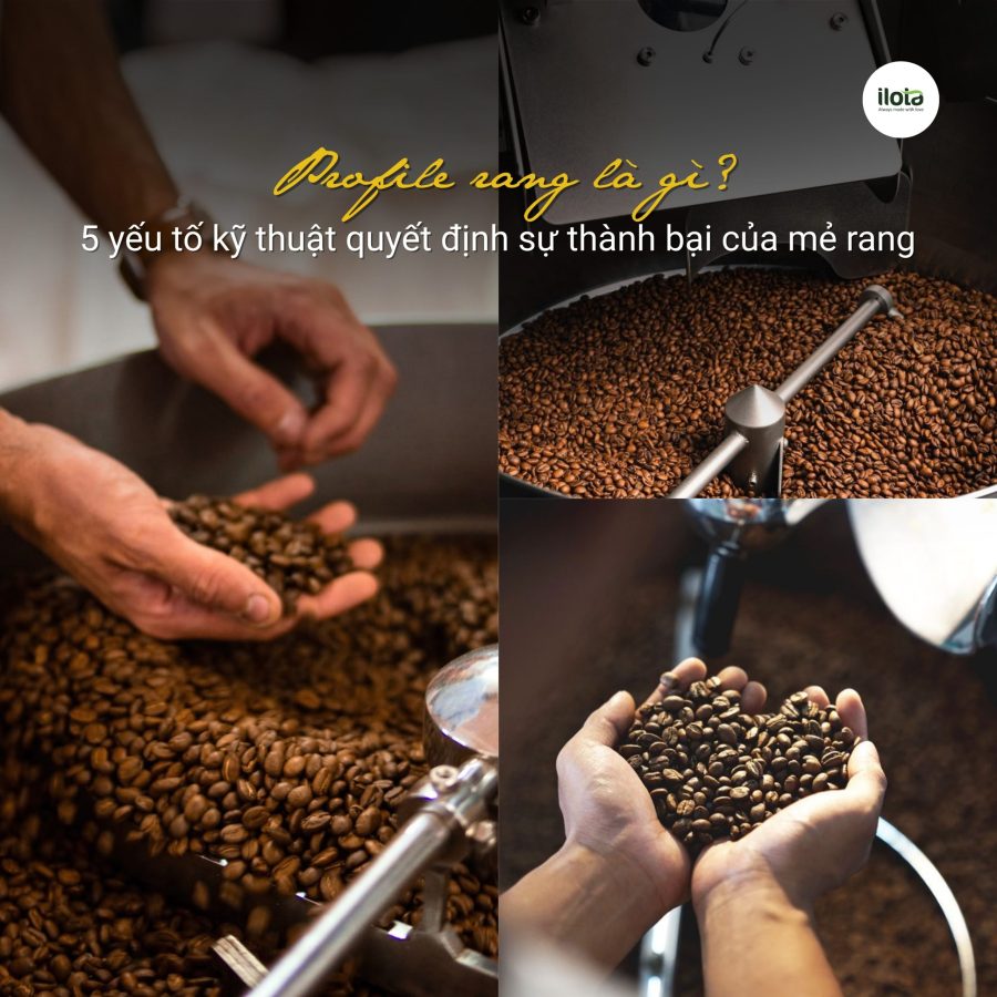 profile-rang-la-gi