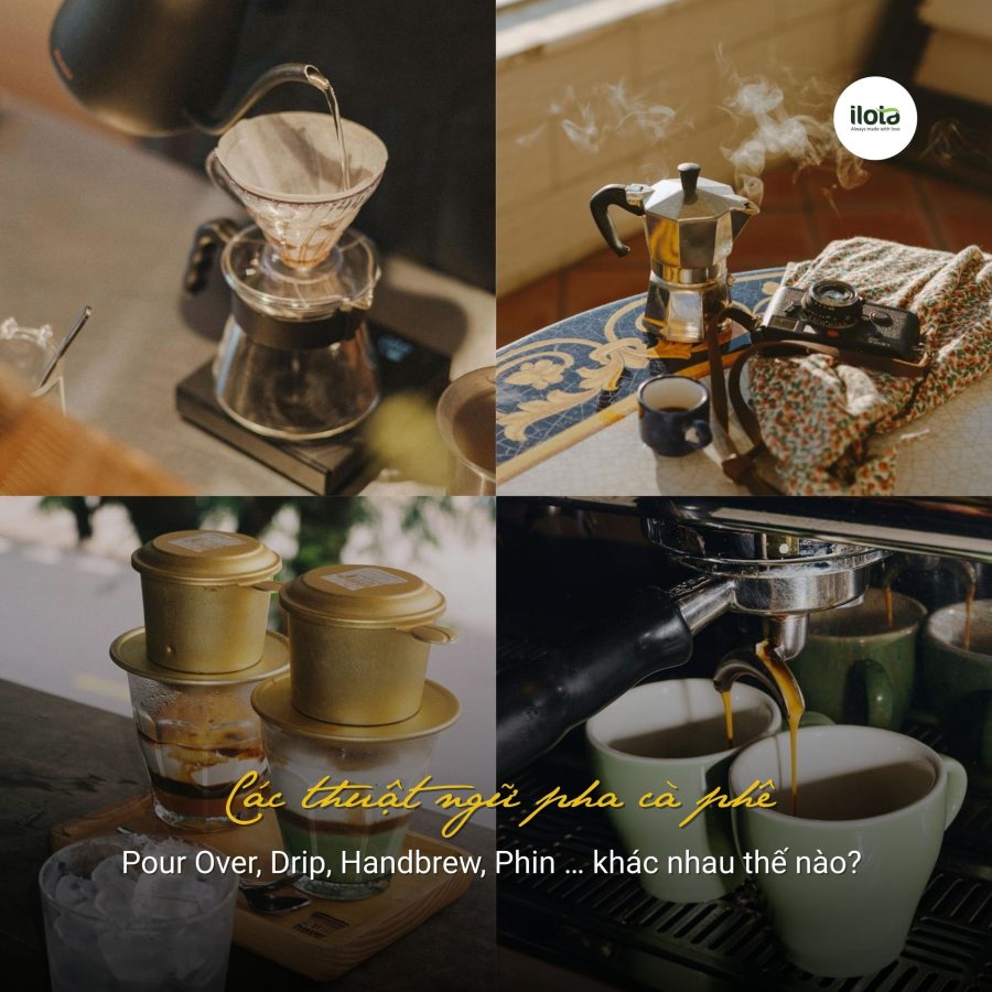 thuat-ngu-pha-ca-phe