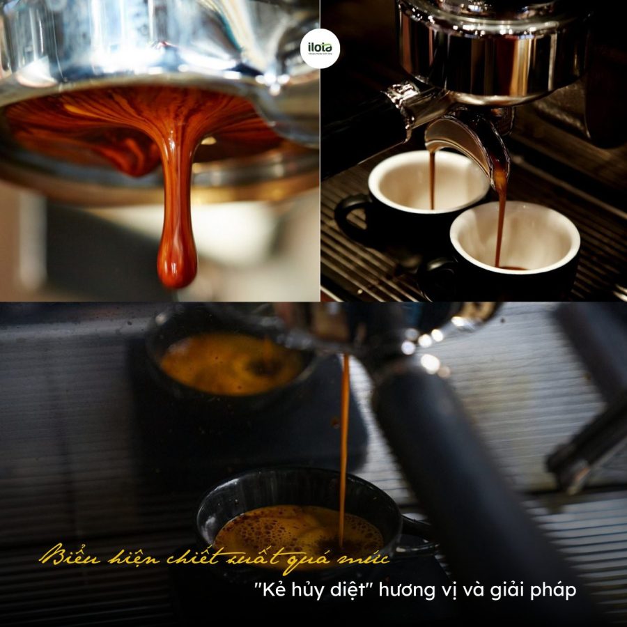 Biểu hiện chiết xuất quá mức - "Kẻ hủy diệt" hương vị và giải pháp