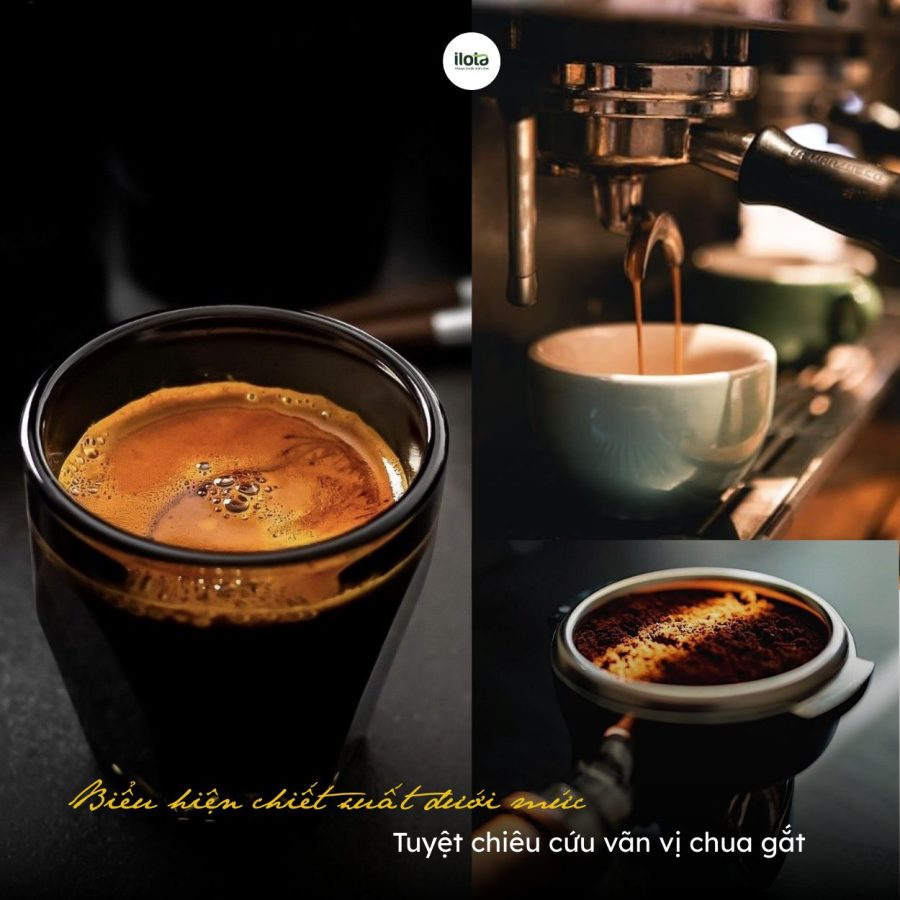 Biểu hiện chiết xuất dưới mức – Tuyệt chiêu cứu vãn vị chua gắt