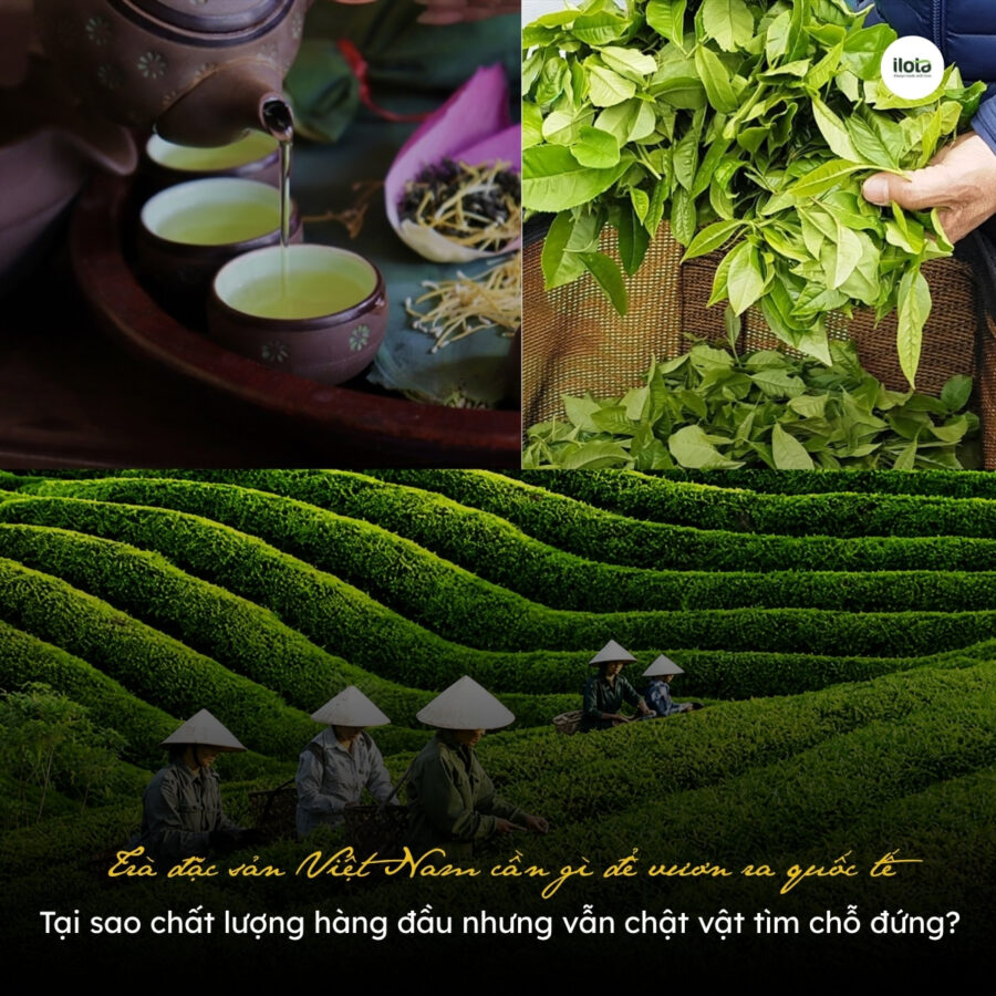 tra-dac-san-viet-nam-can-gi-de-vuon-ra-quoc-te-tai-sao-chat-luong-hang-dau-nhung-van-chat-vat-tim-cho-dung
