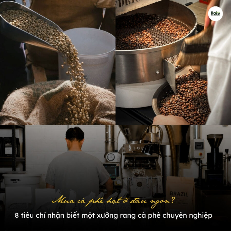 Mua cà phê hạt ở đâu ngon? 8 tiêu chí nhận biết một xưởng rang cà phê chuyên nghiệp