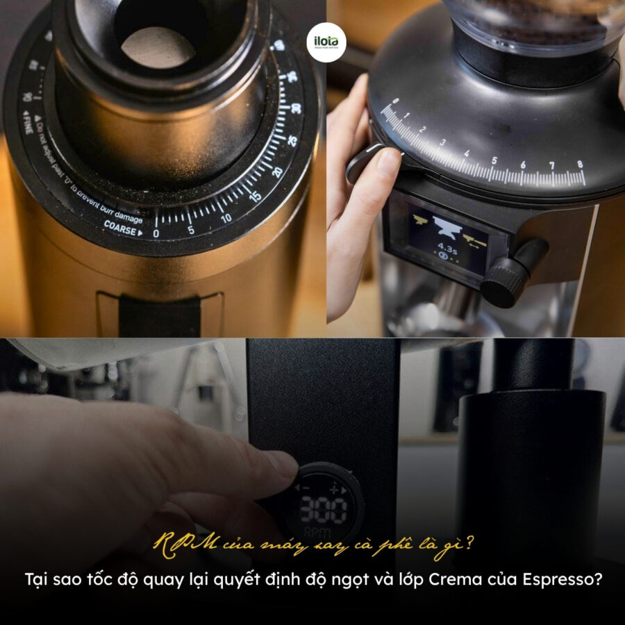 RPM của máy xay cà phê là gì? Tại sao tốc độ quay lại quyết định độ ngọt và lớp Crema của Espresso?
