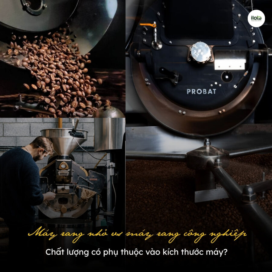 Máy rang nhỏ vs máy rang công nghiệp: Chất lượng có phụ thuộc vào kích thước máy?