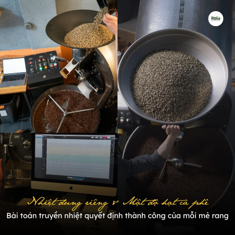 Nhiệt dung riêng & Mật độ hạt cà phê: Bài toán truyền nhiệt quyết định thành công của mỗi mẻ rang