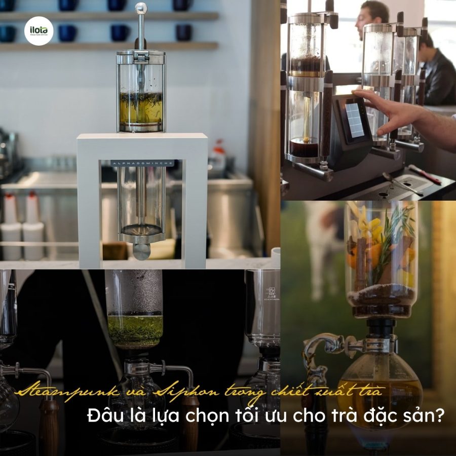 Steampunk và Siphon trong chiết xuất trà: Đâu là lựa chọn tối ưu cho trà đặc sản?
