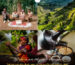 Cái nôi cà phê thế giới - Ethiopia