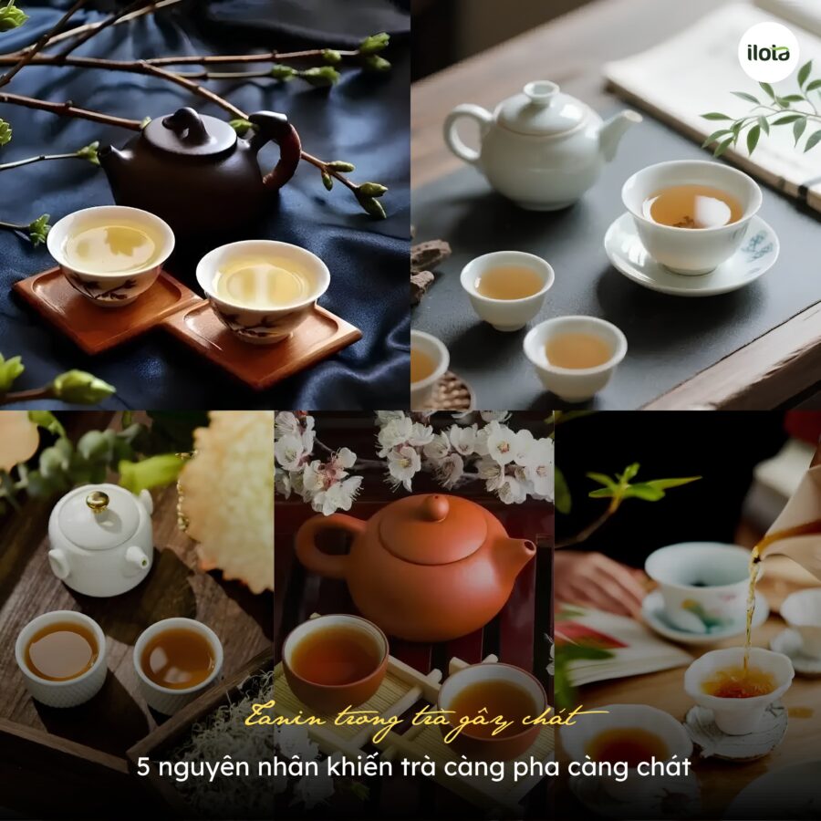 tanin-trong-tra-gay-chat-5-nguyen-nhan-khien-tra