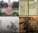 tra-thanh-luc-vu-cau-chuyen-phia-sau-kinh-tra