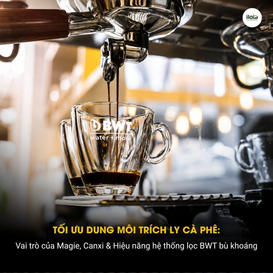 Tối ưu dung môi trích ly: Vai trò của Magie, Canxi & Hiệu năng hệ thống lọc BWT bù khoáng