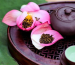 tra-shan-tuyet-uop-sen