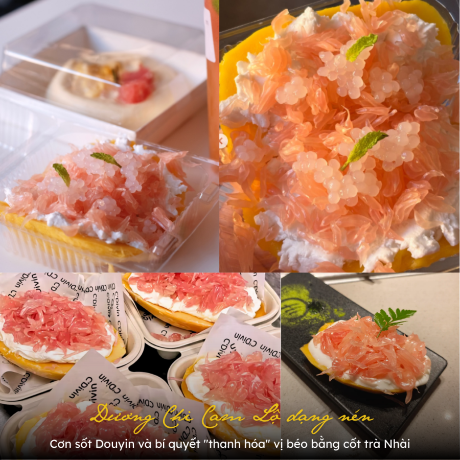 duong-chi-cam-lo-dang-nen