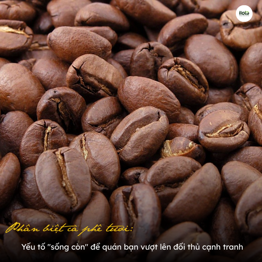 hat-ca-phe-phan-biet-ca-phe-