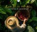 [Cà phê Đặc sản Arabica]