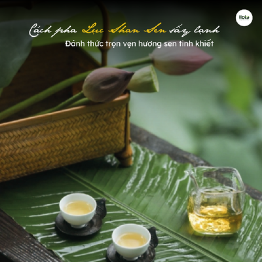 Link des bảng (55) cach-pha-luc-tra-shan-sen