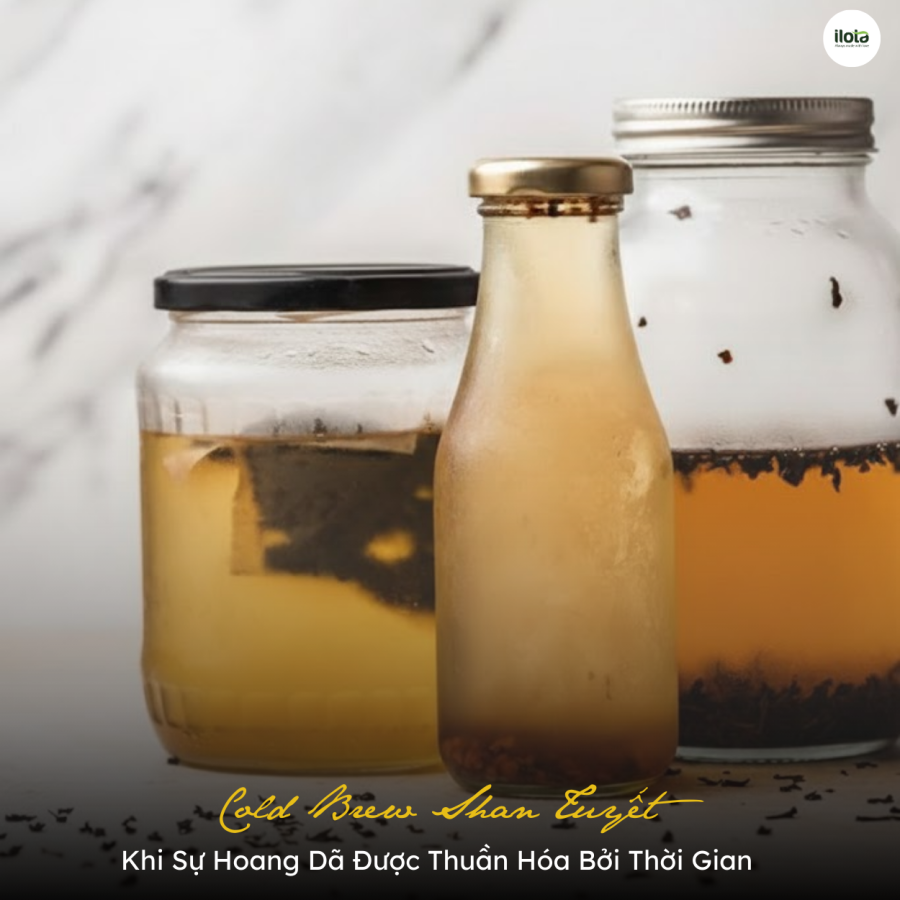 cold-brew-tra-shan-tuyet