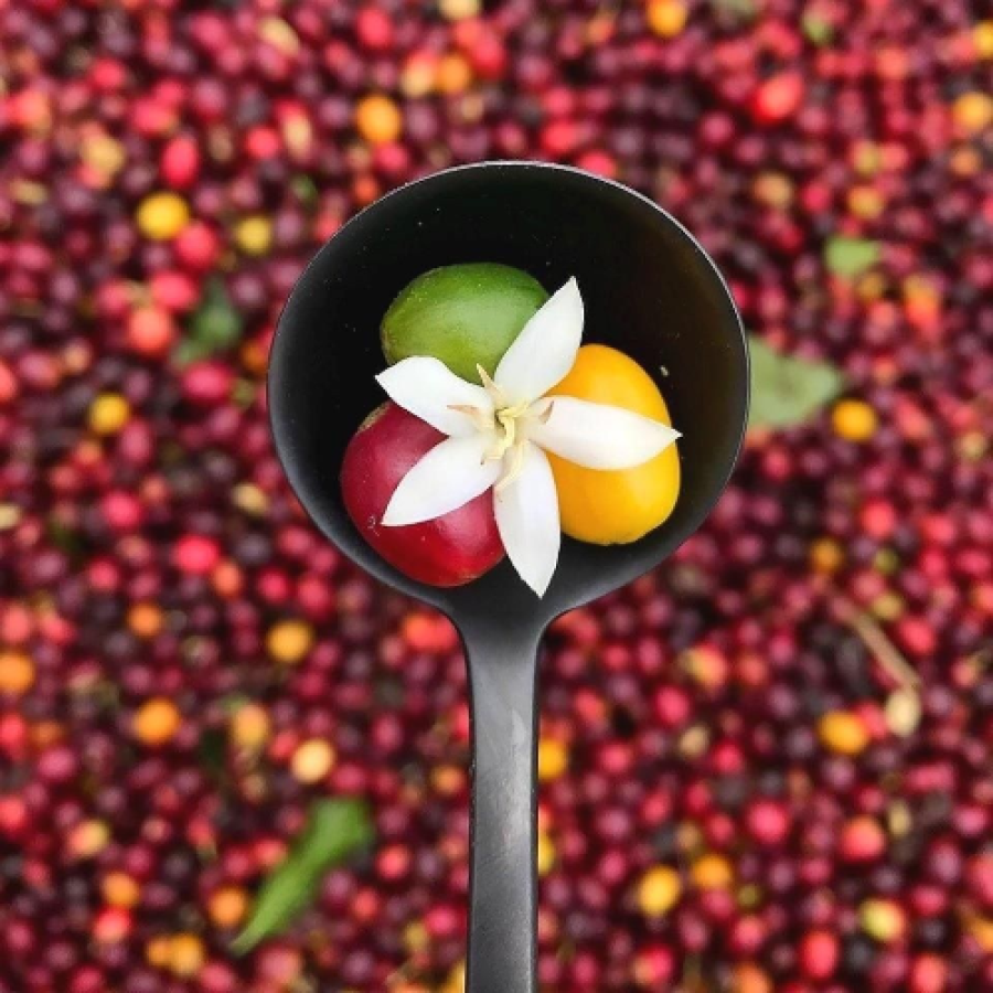 Modern Bold Minimalist Black and Cream Cat Illustration Coffee Shop Logo (52) Modern Bold Minimalist Black and Cream Cat Illustration Coffee Shop Logo (52)