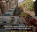 dieu-gi-khien-ca-phe-colombia-dat-thanh-tich-cao