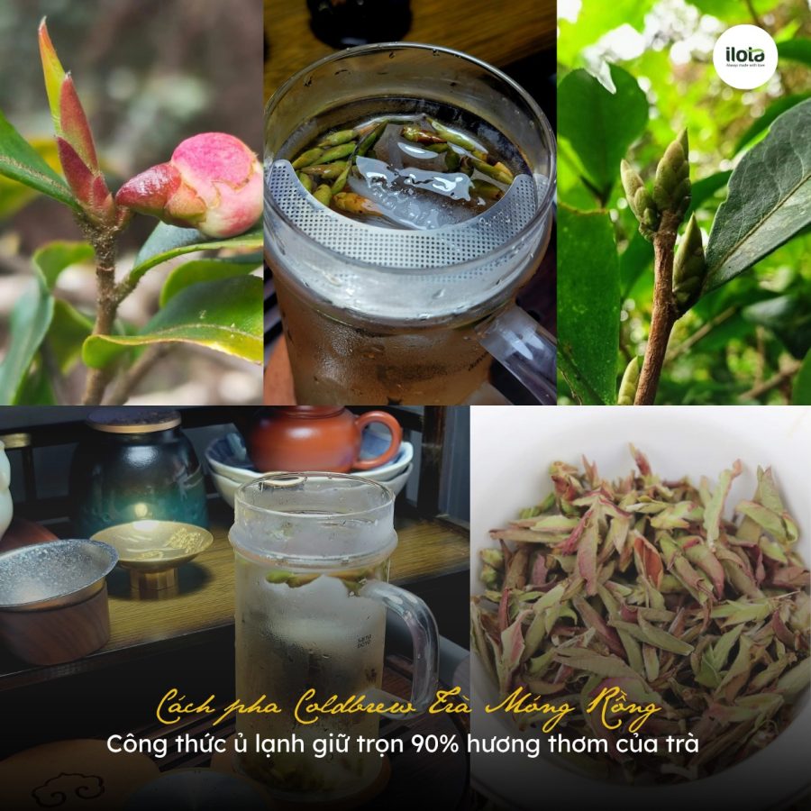 cach-pha-cold-brew-tra-mong-rong